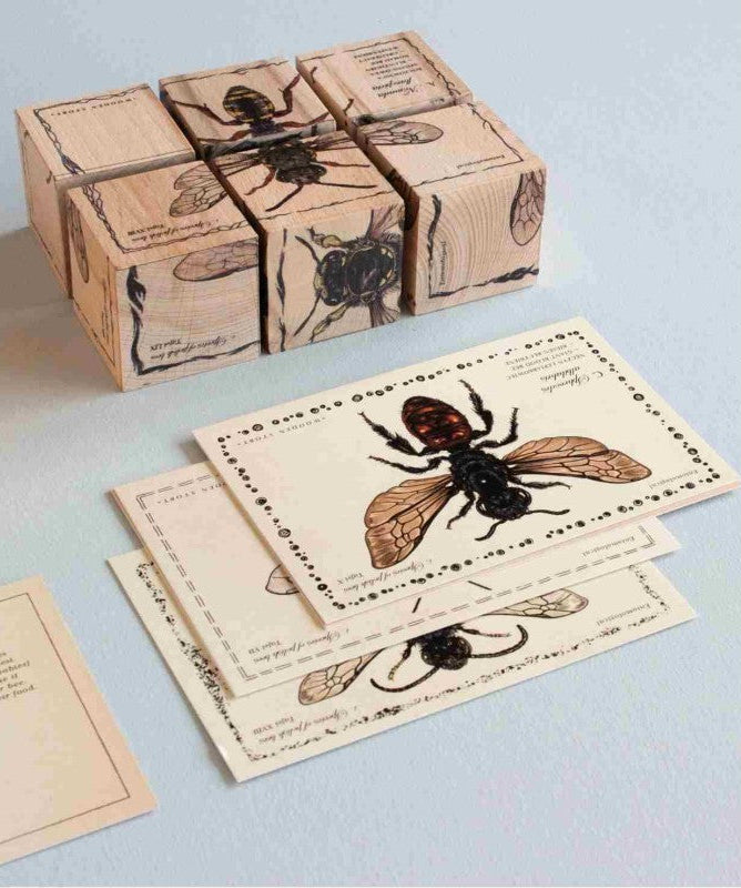 Wooden Blocks Bee Life - Species