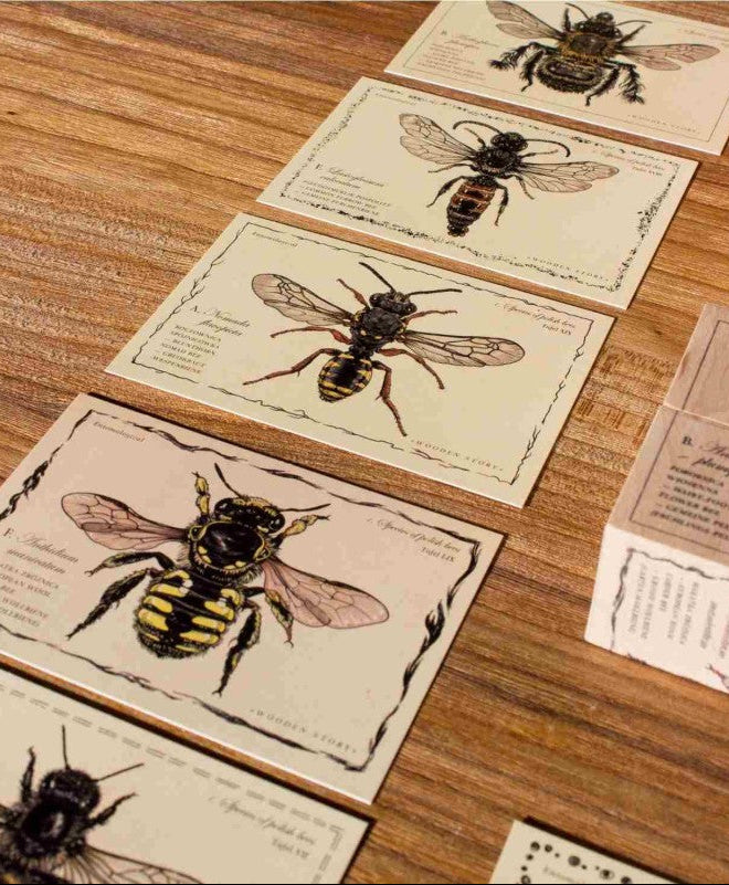 Wooden Blocks Bee Life - Species