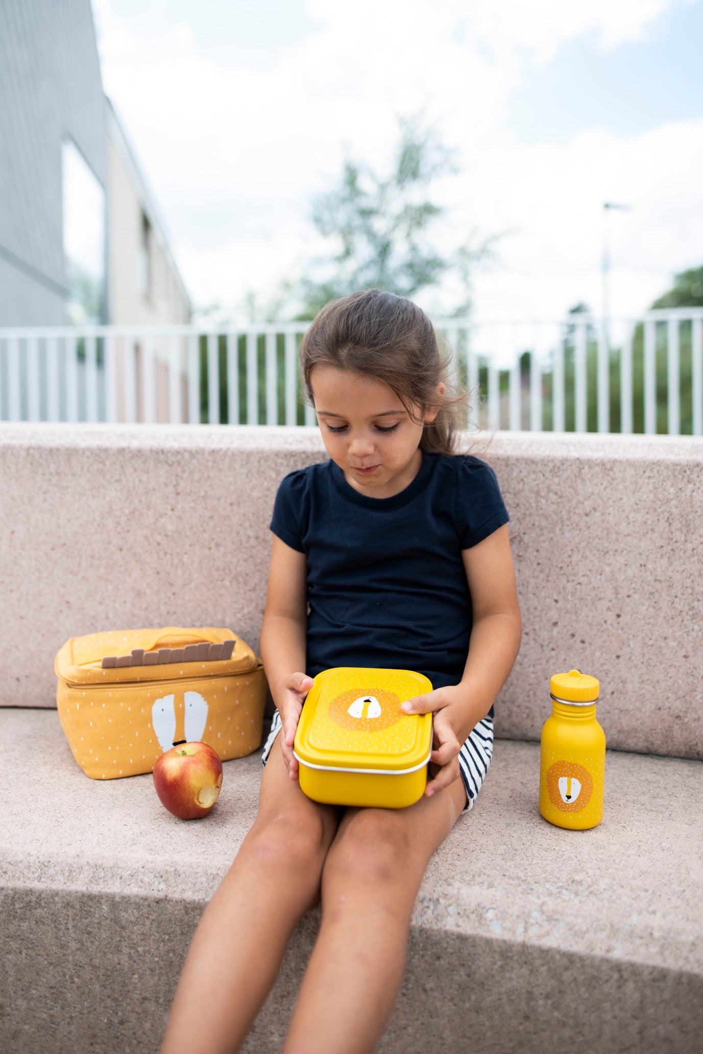 Small Lunch Box - Mr. Lion