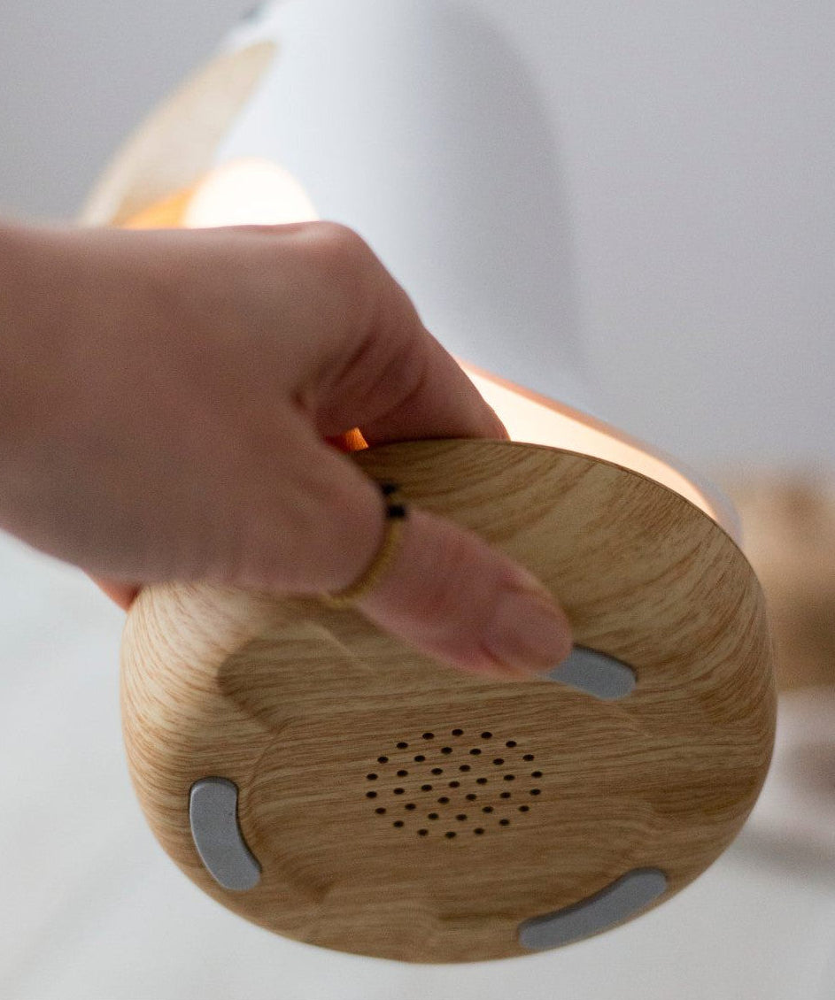 Lamp with Speaker - Pink Bird