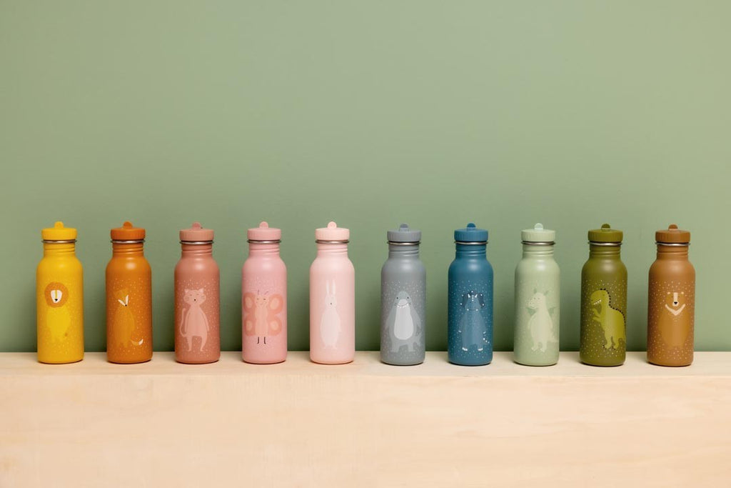 Stainless Steel Bottle 500 ml - Mr. Bear