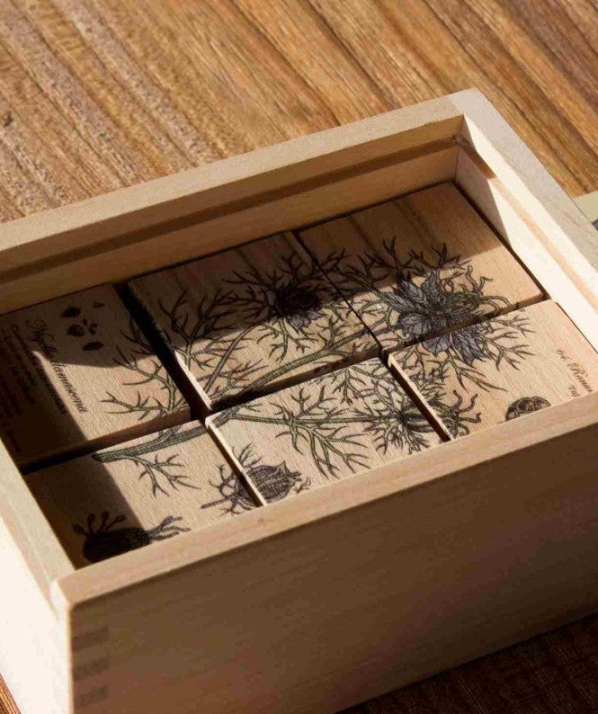 Wooden Blocks Bee Life - Honey Plants