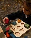 Wooden Shape Sorting Blocks - Colors