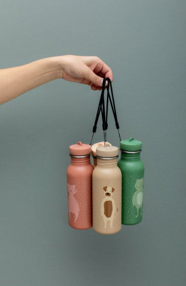 Stainless Steel Bottle 500 ml - Mr Frog